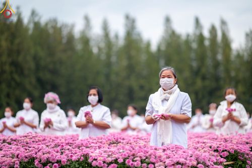 ภาพ No.104021:สาธุชนร่วมรับบุญเก็บดอกเบญจทรัพย์ ในวันอาทิตย์ที่ 24 ธันวาคม พ.ศ. 2566 ณ ทุ่งสวรรค์ตะวันฉาย บริเวณวัดพระธรรมกาย จ.ปทุมธานี