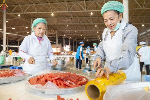 ภาพ No.188174:พิธีถวายภัตตาหารเป็นสังฆทาน แด่พระธรรมยาตรา ในโครงการธรรมยาตรา กตัญญูบูชา มหาปูชนียาจารย์ พระมงคลเทพมุนี(สด จนฺทสโร) พระผู้ปราบมาร อนุสรณ์สถาน 7 แห่ง ปีที่ 13 ณ สภาธรรมกายสากล วัดพระธรรมกาย วันที่ 2 มกราคม พ.ศ. 2568