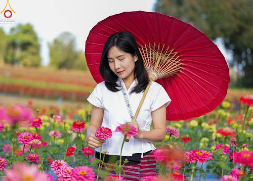 ภาพ No.104338:บรรยากาศ ทุ่งดอกทรัพย์บานชื่น ณ สวนพนาวัฒน์ อ.ฮอด จ.เชียงใหม่ ช่วงระหว่างวันที่ 20 - 25 ธันวาคม พ.ศ. 2566