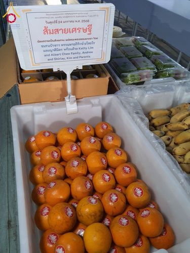 ภาพ No.200962:พิธีถวายภัตตาหารเป็นสังฆทาน แด่พระธรรมยาตรา ณ อนุสรณ์สถานบางปลา วัดบางปลา อำเภอบางเลน จังหวัดนครปฐม ในโครงการธรรมยาตรา กตัญญูบูชา มหาปูชนียาจารย์ พระมงคลเทพมุนี(สด จนฺทสโร) พระผู้ปราบมาร อนุสรณ์สถาน 7 แห่ง ปีที่ 13 วันที่ 24 มกราคม พ.ศ. 2568