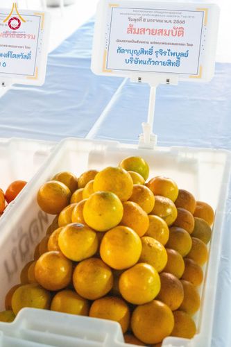 ภาพ No.191119:พิธีถวายภัตตาหารเป็นสังฆทาน แด่พระธรรมยาตรา ณ อนุสรณ์สถานคลองบางนางแท่น อ.สามพราน จ.นครปฐม ในโครงการธรรมยาตรา กตัญญูบูชา มหาปูชนียาจารย์ พระมงคลเทพมุนี(สด จนฺทสโร) พระผู้ปราบมาร อนุสรณ์สถาน 7 แห่ง ปีที่ 13 วันที่ 8 มกราคม พ.ศ. 2568