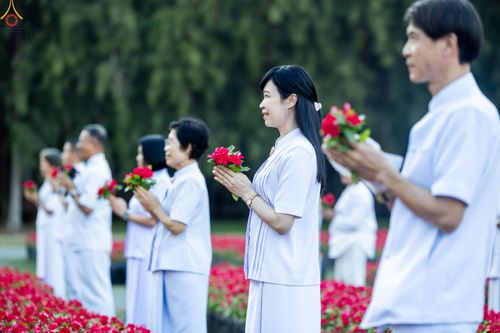 ภาพ No.280931:วันที่ 28 ธันวาคม พ.ศ.2568 กิจกรรมเก็บดอกแพงรวย ณ ทุ่งสวรรค์ตะวันฉาย วัดพระธรรมกาย