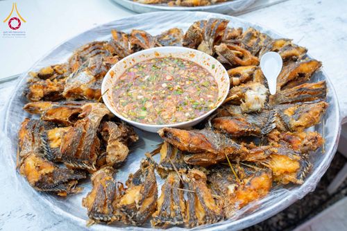 ภาพ No.298579:วันที่ 20 มกราคม พ.ศ. 2569 พิธีถวายภัตตาหารเป็นสังฆทาน แด่พระธรรมยาตรา ณ อนุสรณ์สถานบางปลา วัดบางปลา อำเภอบางเลน จังหวัดนครปฐม ในโครงการธรรมยาตรา กตัญญูบูชา มหาปูชนียาจารย์ พระมงคลเทพมุนี(สด จนฺทสโร) พระผู้ปราบมาร อนุสรณ์สถาน 7 แห่ง ปีที่ 14