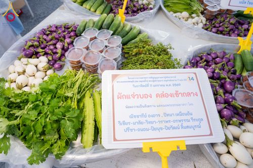 ภาพ No.292293:วันที่ 11 มกราคม พ.ศ. 2569 พิธีถวายภัตตาหารเป็นสังฆทาน แด่พระธรรมยาตรา ในโครงการธรรมยาตรา กตัญญูบูชา มหาปูชนียาจารย์ พระมงคลเทพมุนี(สด จนฺทสโร) พระผู้ปราบมาร อนุสรณ์สถาน 7 แห่ง ปีที่ 14 ณ  อนุสรณ์สถานลำดับที่ 2  สถานที่ตั้งมโนปณิธานบวชตลอดชีวิต อนุสรณ์สถ