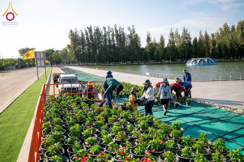 ภาพ No.285370:วันพุธที่ 10 ธันวาคม พ.ศ.2568  การเตรียมความพร้อมในโครงการธรรมยาตรา กตัญญูบูชา มหาปูชนียาจารย์ พระมงคลเทพมุนี(สด จนฺทสโร) พระผู้ปราบมาร อนุสรณ์สถาน 7 แห่ง ปีที่ 14 เก็บดอกเบญจทรัพย์ ณ วัดพระธรรมกาย