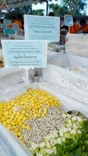 ภาพ No.72949:พิธีถวายภัตตาหารเป็นสังฆทาน แด่คณะพระธรรมยาตราฯ ในโครงการธรรมยาตรากตัญญูบูชา มหาปูชนียาจารย์ พระมงคลเทพมุนี(สด จนฺทสโร) พระผู้ปราบมาร อนุสรณ์สถาน 7 แห่ง ปีที่ 11 วันที่ 20 มกราคม พ.ศ. 2566