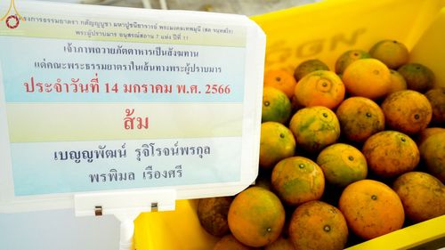 ภาพ No.71204:พิธีถวายภัตตาหารเป็นสังฆทาน แด่คณะพระธรรมยาตราฯ ในโครงการธรรมยาตราฯ ปีที่ 11 ณ อนุสรณ์สถานคลองบางนางแท่น อ.สามพราน จ.นครปฐม วันที่ 14 มกราคม พ.ศ. 2566