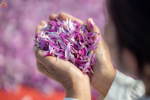 ภาพ No.299318:วันที่ 18 มกราคม พ.ศ. 2569 พิธีต้อนรับพระธรรมยาตรา ณ อนุสรณ์สถานลำดับที่ 5 สถานที่เผยแผ่วิชชาธรรมกายครั้งแรก อนุสรณ์สถานบางปลา วัดบางปลา อำเภอบางเลน จังหวัดนครปฐม ในโครงการธรรมยาตรา กตัญญูบูชา มหาปูชนียาจารย์ พระมงคลเทพมุนี(สด จนฺทสโร) พระผู้ปราบมาร อนุส