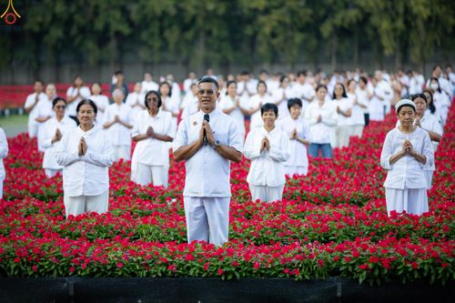 ภาพ No.280924:วันที่ 28 ธันวาคม พ.ศ.2568 กิจกรรมเก็บดอกแพงรวย ณ ทุ่งสวรรค์ตะวันฉาย วัดพระธรรมกาย