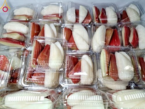 ภาพ No.111910:พิธีถวายภัตตาหารเป็นสังฆทาน แด่คณะพระธรรมยาตราฯ ในโครงการธรรมยาตรา กตัญญูบูชา มหาปูชนียาจารย์ พระมงคลเทพมุนี(สด จนฺทสโร) พระผู้ปราบมาร อนุสรณ์สถาน 7 แห่ง ปีที่ 12 วันที่ 14 มกราคม พ.ศ. 2567 ณ อนุสรณ์สถานมหาวิหารพระมงคลเทพมุนี  (โลตัสแลนด์) อ.สองพี่น้อง จ