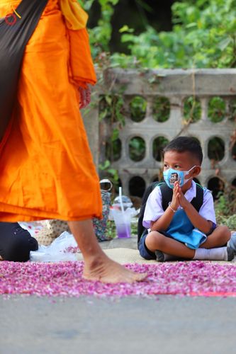 ภาพ No.113167:พิธีต้อนรับพระธรรมยาตรา ปีที่ 12 วันที่ 15 มกราคม พ.ศ. 2567 ณ วัดโบสถ์บน จ.นนทบุรี