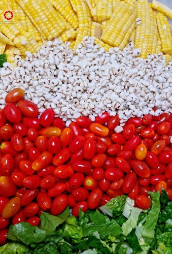 ภาพ No.113689:พิธีถวายภัตตาหารเป็นสังฆทาน แด่คณะพระธรรมยาตรา ปีที่ 12 วันที่ 17 มกราคม พ.ศ. 2567 ณ วัดโบสถ์(บน) บางคูเวียง จ.นนทบุรี