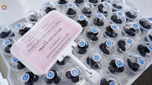 ภาพ No.75186:พิธีถวายภัตตาหารเป็นสังฆทาน แด่คณะพระธรรมยาตราฯ ในโครงการธรรมยาตรากตัญญูบูชา มหาปูชนียาจารย์ พระมงคลเทพมุนี(สด จนฺทสโร) พระผู้ปราบมาร อนุสรณ์สถาน 7 แห่ง ปีที่ 11 วันที่ 31 มกราคม พ.ศ. 2566