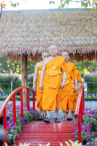 ภาพ No.280887:วันที่ 28 ธันวาคม พ.ศ.2568 กิจกรรมเก็บดอกแพงรวย ณ ทุ่งสวรรค์ตะวันฉาย วัดพระธรรมกาย