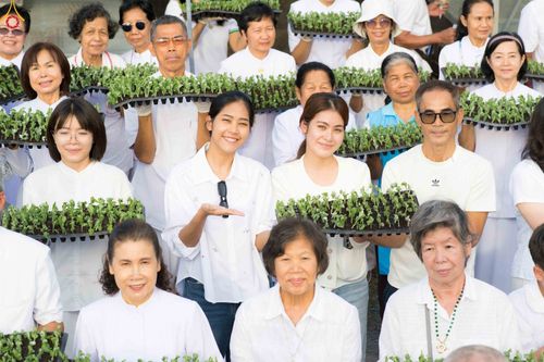 ภาพ No.344053:วันที่ 16 สิงหาคม พ.ศ.2569 การปักชำต้นกล้าเบญจทรัพย์ เพื่อเตรียมดอกไม้บูชาธรรม พระเดชพระคุณหลวงปู่ และโปรยต้อนรับพระธรรมยาตรา ปีที่ 15 ณ โรงเรือนปักชำประตู 8 วัดพระธรรมกาย