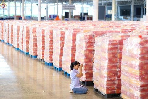 ภาพ No.321998:วันที่ 12 -13 เมษายน พ.ศ.2569 การเตรียมกล่องไทยธรรม + การขนย้ายเก้าอี้ เพื่องานถวายมหาสังฆทาน 40,000 กว่าวัดทั่วประเทศ วันคุ้มครองโลก 22 เมษายน พ.ศ.2569 วัดพระธรรมกาย