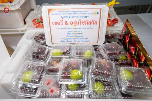 ภาพ No.301823:วันที่ 24 มกราคม พ.ศ. 2569 พิธีถวายภัตตาหารเป็นสังฆทาน แด่พระธรรมยาตรา ณ อนุสรณ์สถานบางปลา วัดบางปลา อำเภอบางเลน จังหวัดนครปฐม ในโครงการธรรมยาตรา กตัญญูบูชา มหาปูชนียาจารย์ พระมงคลเทพมุนี(สด จนฺทสโร) พระผู้ปราบมาร อนุสรณ์สถาน 7 แห่ง ปีที่ 14