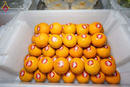 ภาพ No.300248:วันที่ 22 มกราคม พ.ศ. 2569 พิธีถวายภัตตาหารเป็นสังฆทาน แด่พระธรรมยาตรา ณ อนุสรณ์สถานบางปลา วัดบางปลา อำเภอบางเลน จังหวัดนครปฐม ในโครงการธรรมยาตรา กตัญญูบูชา มหาปูชนียาจารย์ พระมงคลเทพมุนี(สด จนฺทสโร) พระผู้ปราบมาร อนุสรณ์สถาน 7 แห่ง ปีที่ 14