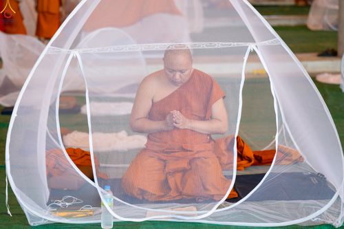 ภาพ No.323846:วันที่ 22 เมษายน พ.ศ.2569 (วันคุ้มครองโลก) งานถวายมหาสังฆทาน 40,000 กว่าวัดทั่วประเทศ บรรยากาศพระสังฆาธิการและสาธุชน  เดินทางเข้าวัดพระธรรมกาย และพักค้าง ตั้งแต่ ตอนเย็นวันที่ 21  ถึงเช้าวันที่ 22