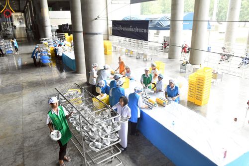 ภาพ No.218410:วันที่ 15 - 18 เมษายน พ.ศ. 2568 การเตรียมภาชนะสำหรับถวายภัตตาหาร , การจัดโต๊ะเก้าอี้ในลานธรรม , การแพ็คพัสดุงานต้อนรับ เพื่องานวันคุ้มครองโลก 22 เมษายน พ.ศ.2568 วัดพระธรรมกาย