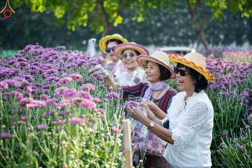 ภาพ No.102874:สาธุชนร่วมรับบุญเก็บดอกเบญจทรัพย์ ในวันที่ 19 ธันวาคม พ.ศ. 2566 (วันแรก) ณ บริเวณวัดพระธรรมกาย จ.ปทุมธานี
