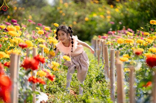 ภาพ No.188270:บรรยากาศ ทุ่งสวรรค์หรรษาพนาวัฒน์ ณ สวนพนาวัฒน์ อ.ฮอด จ.เชียงใหม่ เปิดให้เข้าชมฟรี ระหว่างวันที่ 28 ธันวาคม พ.ศ. 2567 ถึง วันที่ 3 มกราคม พ.ศ. 2568 เวลา 08.00-17.00 น.