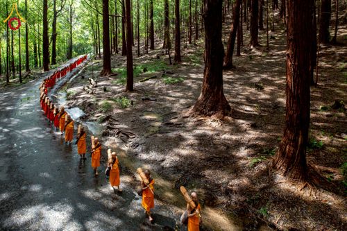 ภาพ No.226214:วันที่ 7-10 พฤษภาคม พ.ศ. 2568 โครงการเดินธรรมยาตรา สยาม-ลังกา ธรรมยาตรา ฉลองเทศกาลวิสาขบูชาแห่งชาติ ศรีลังกา บูชาธรรม 81 ปี หลวงพ่อธัมมชโย เมืองนูวราอิลิยา ประเทศศรีลังกา