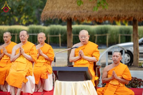 ภาพ No.185419:กิจกรรมเก็บดอกแพงรวย วันอาทิตย์ที่ 22 ธันวาคม พ.ศ. 2567 ณ ทุ่งสวรรค์ ตะวันฉาย วัดพระธรรมกาย