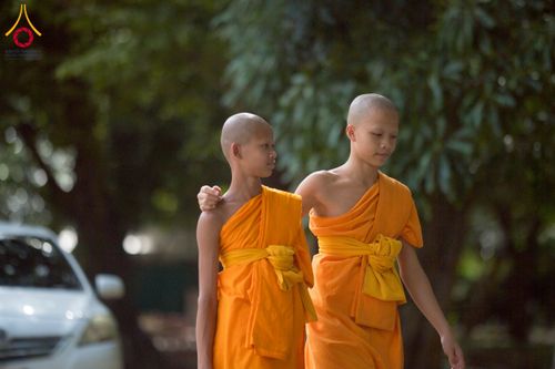 ภาพ No.233098:วันที่ 11 กรกฏาคม พ.ศ. 2568 พิธีอธิษฐานพรรษา ของคณะสงฆ์ ณ โบสถ์พระไตรปิฎก วัดพระธรรมกาย ต.คลองสาม อ.คลองหลวง จ.ปทุมธานี