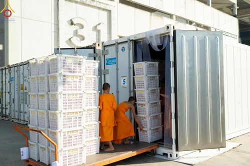 ภาพ No.187229:สาธุชน เจ้าหน้าที่ ร่วมบุญปลิดกลีบดอกไม้ เพื่อโปรยต้อนรับพระธรรมยาตรา ตั้งแต่วันที่ 26 ธันวาคม พ.ศ. 2567 ณ วิหารคด 31 วัดพระธรรมกาย