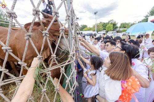 ภาพ No.241358:วันอาทิตย์ที่ 24 สิงหาคม พ.ศ.2568 พิธีปฐมผ้าป่าสถาปนาองค์พระเจดีย์เพื่อสร้างสันติภาพโลก พิธีไถ่ชีวิตโค สร้างมหากุศลด้วยการให้ชีวิตสัตว์เป็นทาน ณ ศูนย์ปฏิบัติธรรมสระบุรี อ.พระพุทธบาท จ.สระบุรี