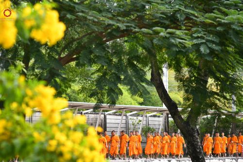 ภาพ No.182396:พิธีถวายภัตตาหารเมนูสวรรค์ "เพื่อการบรรลุธรรม" วันเสาร์ที่ 14 ธันวาคม พ.ศ. 2567 ณ หอฉันคุณยายอาจารย์ฯ วัดพระธรรมกาย