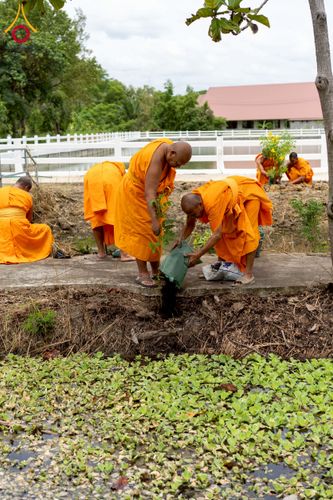 ภาพ No.238594:วันอาทิตย์ที่ 17 สิงหาคม พ.ศ. 2568 พิธีทอดผ้าป่าบำรุงศูนย์อบรมเยาวชนนครปฐม ครบรอบ 14 ปี และพิธีปลูกต้นไม้รอบสระเศรษฐี ณ ศูนย์อบรมเยาวชนนครปฐม