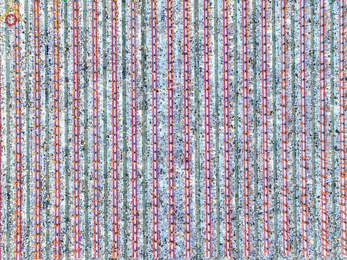 ภาพ No.105303:พิธีตักบาตรฉลองพระบวชใหม่ รุ่นบูชาธรรมมหาปูชนียาจารย์ และต้อนรับศักราชใหม่ วันจันทร์ที่ 1 มกราคม พ.ศ. 2567 ณ ลานธรรมพระมหาธรรมกายเจดีย์ วัดพระธรรมกาย