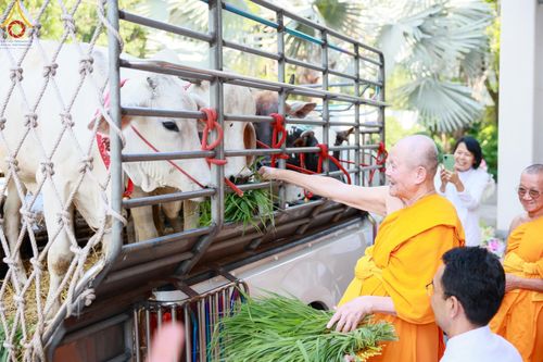 ภาพ No.184848:พิธีถวายภัตตาหารเมนูสวรรค์ "เพื่อการบรรลุธรรม" เนื่องในวาระอายุวัฒนมงคล 84 ปี หลวงพ่อทัตตชีโว วันเสาร์ที่ 21 ธันวาคม พ.ศ. 2567 ณ หอฉันคุณยายอาจารย์ฯ วัดพระธรรมกาย