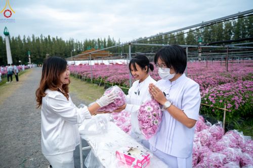 ภาพ No.104075:สาธุชนร่วมรับบุญเก็บดอกเบญจทรัพย์ ในวันอาทิตย์ที่ 24 ธันวาคม พ.ศ. 2566 ณ ทุ่งสวรรค์ตะวันฉาย บริเวณวัดพระธรรมกาย จ.ปทุมธานี