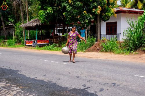 ภาพ No.139918:PhotoStory มหาศรัทธา ธรรมยาตราศรีลังกา EP.2 พิธีเปิดโครงการสยาม-ลังกา ธรรมยาตรา ฉลองเทศกาลวิสาขบูชาแห่งชาติ ศรีลังกา บูชาธรรม 80 ปีหลวงพ่อธัมมชโย เมื่อวันที่ 17 พฤษภาคม พ.ศ. 2567