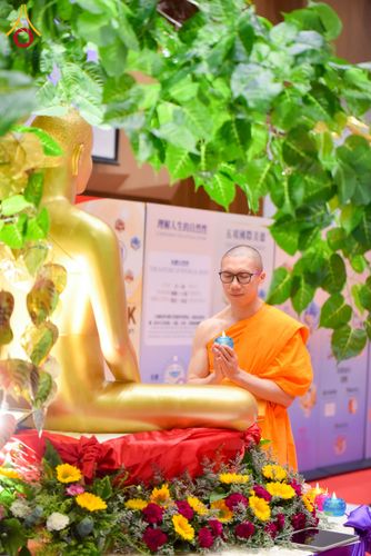 ภาพ No.224973:วันที่ 11 พฤษภาคม พ.ศ. 2568 วัดพระธรรมกายฮ่องกง จัดงานบุญเนื่องในวันวิสาขบูชา วันสำคัญสากลของโลก