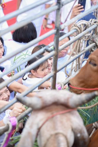 ภาพ No.241361:วันอาทิตย์ที่ 24 สิงหาคม พ.ศ.2568 พิธีปฐมผ้าป่าสถาปนาองค์พระเจดีย์เพื่อสร้างสันติภาพโลก พิธีไถ่ชีวิตโค สร้างมหากุศลด้วยการให้ชีวิตสัตว์เป็นทาน ณ ศูนย์ปฏิบัติธรรมสระบุรี อ.พระพุทธบาท จ.สระบุรี