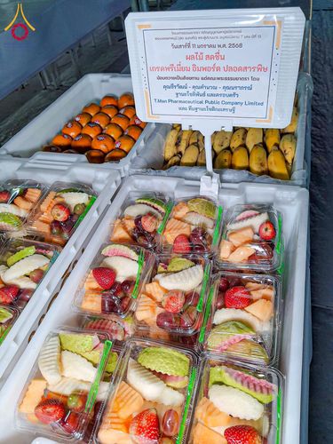 ภาพ No.193654:สาธุชนถวายภัตตาหารเป็นสังฆทาน แด่พระธรรมยาตรา ณ อนุสรณ์สถานคลองบางนางแท่น อ.สามพราน จ.นครปฐม ในโครงการธรรมยาตรา กตัญญูบูชา มหาปูชนียาจารย์ พระมงคลเทพมุนี(สด จนฺทสโร) พระผู้ปราบมาร อนุสรณ์สถาน 7 แห่ง ปีที่ 13 วันที่ 11 มกราคม พ.ศ. 2568