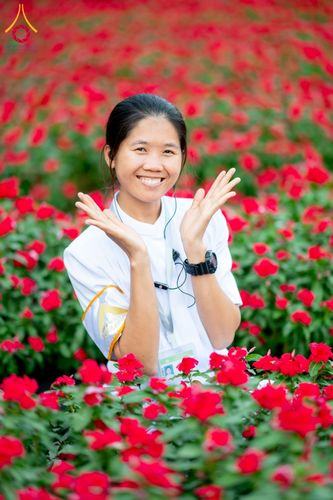 ภาพ No.185511:กิจกรรมเก็บดอกแพงรวย วันอาทิตย์ที่ 22 ธันวาคม พ.ศ. 2567 ณ ทุ่งสวรรค์ ตะวันฉาย วัดพระธรรมกาย