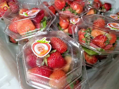 ภาพ No.118913:พิธีถวายภัตตาหารเป็นสังฆทาน แด่คณะพระธรรมยาตรา ปีที่ 12 วันที่ 26 มกราคม พ.ศ. 2567 ณ อนุสรณ์สถานบางปลา จ.นครปฐม