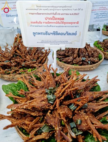 ภาพ No.117453:พิธีถวายภัตตาหารเป็นสังฆทาน แด่คณะพระธรรมยาตรา วันที่ 23 มกราคม พ.ศ. 2567 ณ อนุสรณ์สถานบางปลา อ.บางเลน จ.นครปฐม