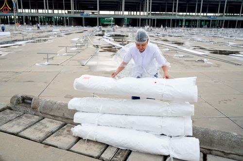 ภาพ No.225263:วันที่ 20 - 27 เมษายน พ.ศ. 2568 "ภาพแห่งความปลื้มที่ไม่มีวันจบ" คณะสงฆ์สามเณร เจ้าหน้าที่ และสาธุชน ร่วมแรงร่วมใจกันเตรียมงานและเก็บงาน เพื่อวันคุ้มครองโลก พิธีถวายมหาสังฆทานคณะสงฆ์ 40,000 กว่าวัดทั่วประเทศ