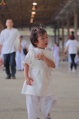 ภาพ No.311280:วันอาทิตย์ต้นเดือนที่ 1 มีนาคม พ.ศ.2569 พิธีตักบาตร และ พิธีบูชาข้าวพระ ณ สภาธรรมกายสากล วัดพระธรรมกาย