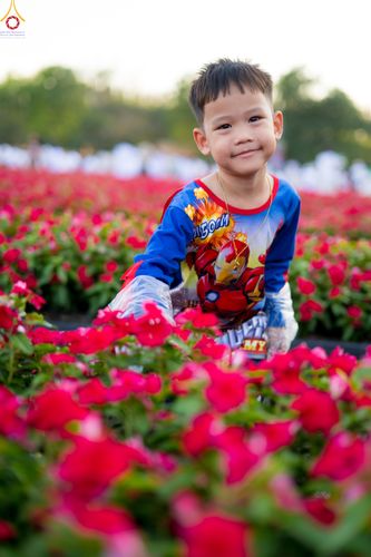 ภาพ No.281022:วันที่ 28 ธันวาคม พ.ศ.2568 กิจกรรมเก็บดอกแพงรวย ณ ทุ่งสวรรค์ตะวันฉาย วัดพระธรรมกาย