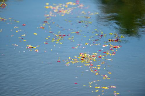 ภาพ No.289750:วันที่ 7 มกราคม พ.ศ. 2569 พิธีต้อนรับพระธรรมยาตรา ณ อนุสรณ์สถานลำดับที่ 2 สถานที่ตั้งมโนปณิธานบวชตลอดชีวิต อนุสรณ์สถานคลองบางนางแท่น อ.สามพราน จ.นครปฐม ในโครงการธรรมยาตรา กตัญญูบูชา มหาปูชนียาจารย์ พระมงคลเทพมุนี(สด จนฺทสโร) พระผู้ปราบมาร อนุสรณ์สถาน 7 แ