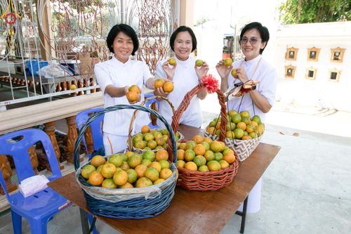 ภาพ No.114833:พิธีทอดผ้าป่าทำนุบำรุงศาสนสถาน ณ วัดโพธิ์เอน ต.บางขุนกอง อ.บางกรวย จ.นนทบุรี วันที่ 18 มกราคม พ.ศ. 2567
