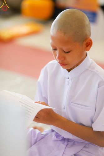 ภาพ No.133965:พิธีขอขมามอบผ้าไตร โครงการบรรพชาสามเณร ศูนย์อบรมวัดพระธรรมกาย ณ วัดพระธรรมกาย วันเสาร์ที่ 6 เมษายน พ.ศ. 2567