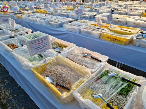 ภาพ No.108511:ถวายภัตตาหารเป็นสังฆทาน แด่คณะพระธรรมยาตราฯ ในโครงการธรรมยาตรากตัญญูบูชา มหาปูชนียาจารย์ พระมงคลเทพมุนี(สด จนฺทสโร) พระผู้ปราบมาร อนุสรณ์สถาน 7 แห่ง ปีที่ 12 วันที่ 7 มกราคม พ.ศ. 2567 ณ อนุสรณ์สถานโลตัสแลนด์ จ.สุพรรณบุรี